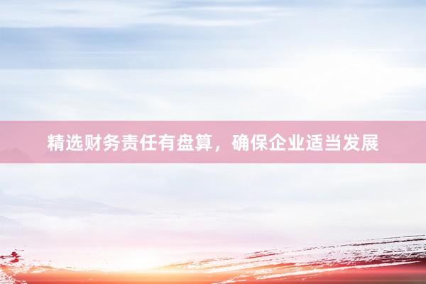 精选财务责任有盘算，确保企业适当发展