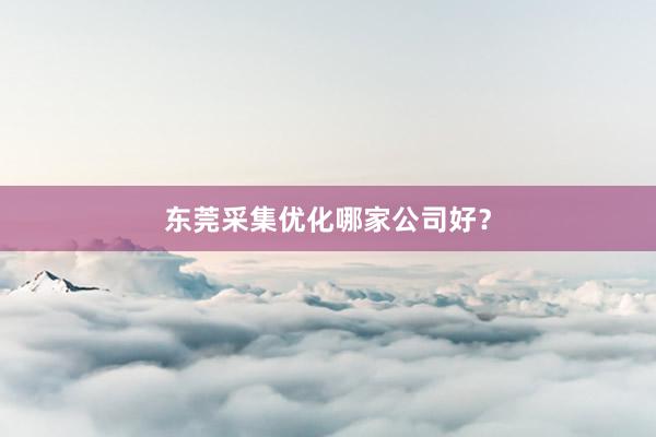 东莞采集优化哪家公司好？