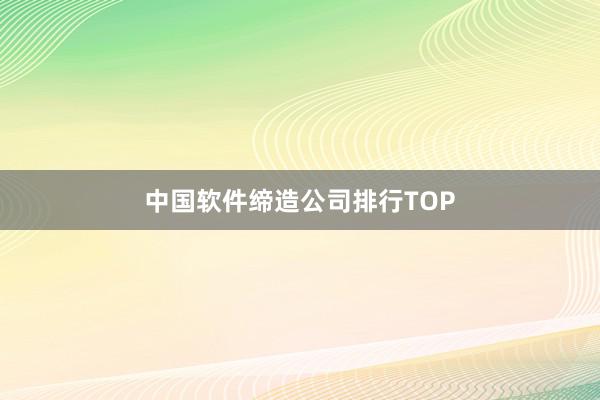 中国软件缔造公司排行TOP