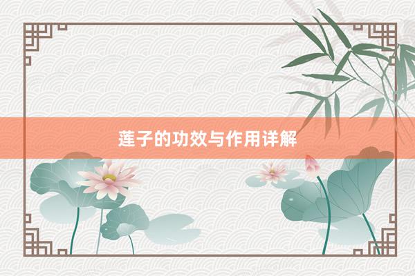 莲子的功效与作用详解