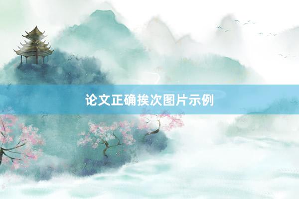 论文正确挨次图片示例